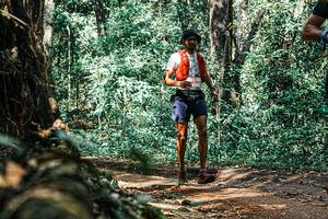 BIB: 
                            <button type="button" onclick="openModal(25395465)" class="btn btn-primary btn-sm float-right btn-popup" data-toggle="modal" data-target=".modal-high-quality">
                        <i class="fas fa-shopping-cart"></i> Add to Cart
                    </button>
                                            <button type="button" onclick="isThisMe(25395465, true)" class="btn btn-success btn-sm float-right btn-popup btn-isme hidden" data-toggle="tooltip" data-placement="bottom" title="นี่คือรูปของคุณใช่ไหม คลิกที่นี่เพื่อเอาเข้าอัลบั้ม">
                        <i class="fas fa-plus"></i> Add to album
                    </button>
                    <button type="button" onclick="isThisMe(25395465, false)" class="btn btn-warning btn-sm float-right btn-popup btn-isnotme hidden">
                        <i class="fas fa-ban"></i> Remove from album
                    </button>